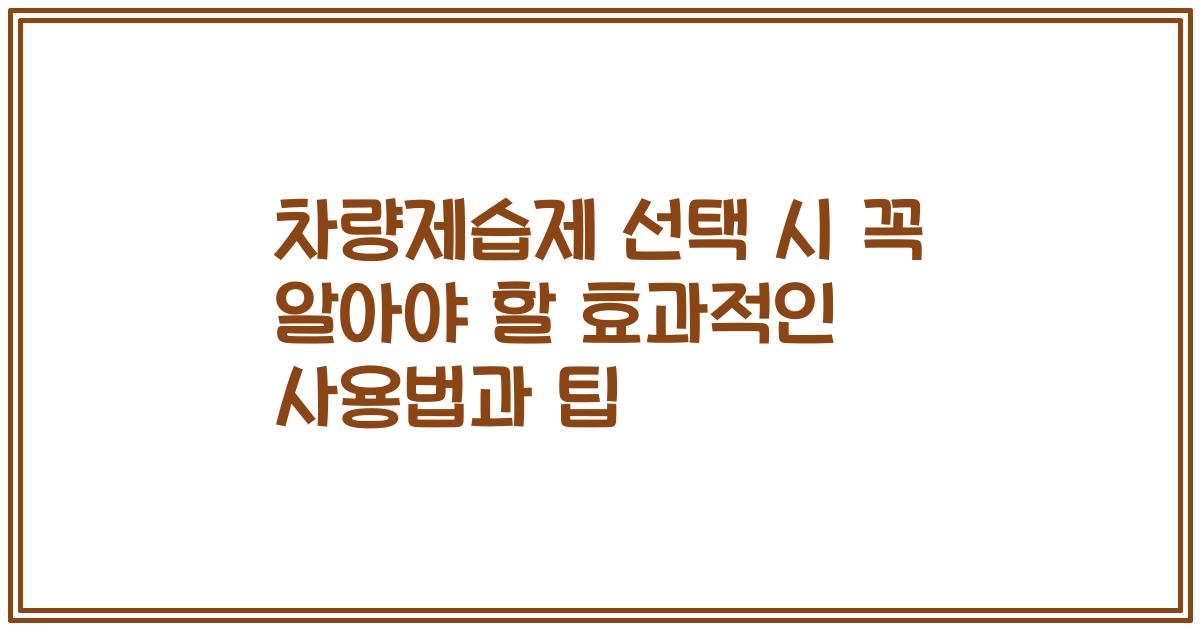 차량제습제 선택 시 꼭 알아야 할 효과적인 사용법과 팁