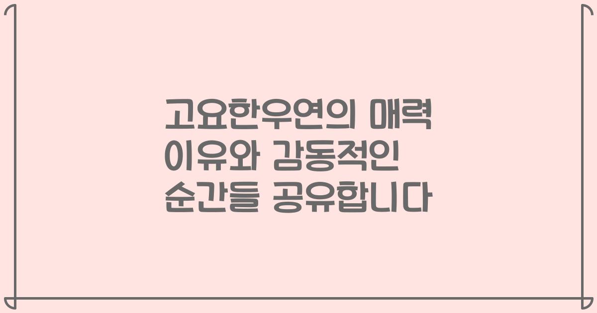 고요한우연의 매력 이유와 감동적인 순간들 공유합니다